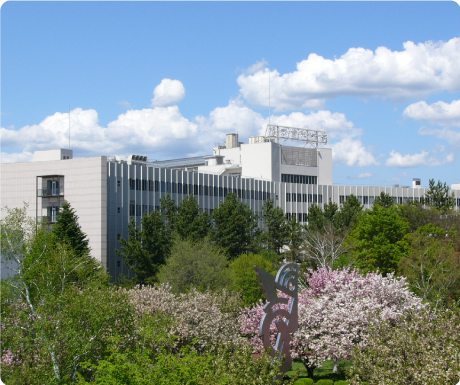 松本歯科大学