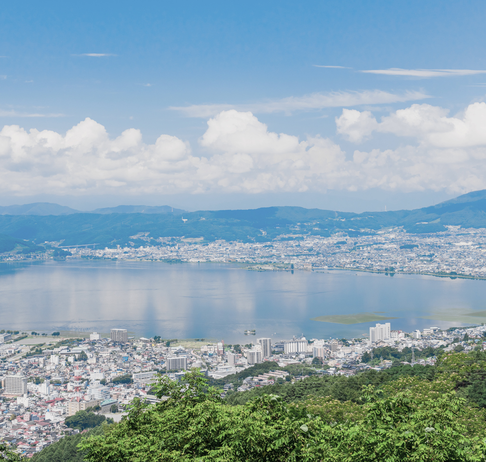 期間もお部屋も自由に選べる